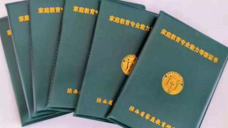 陕西省家庭教育研究会2024年第一批家庭教育专业能力等级考核通过人员名单