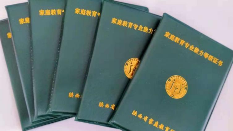 陕西省家庭教育研究会2024年第二批家庭教育专业能力等级考核 通过人员名单